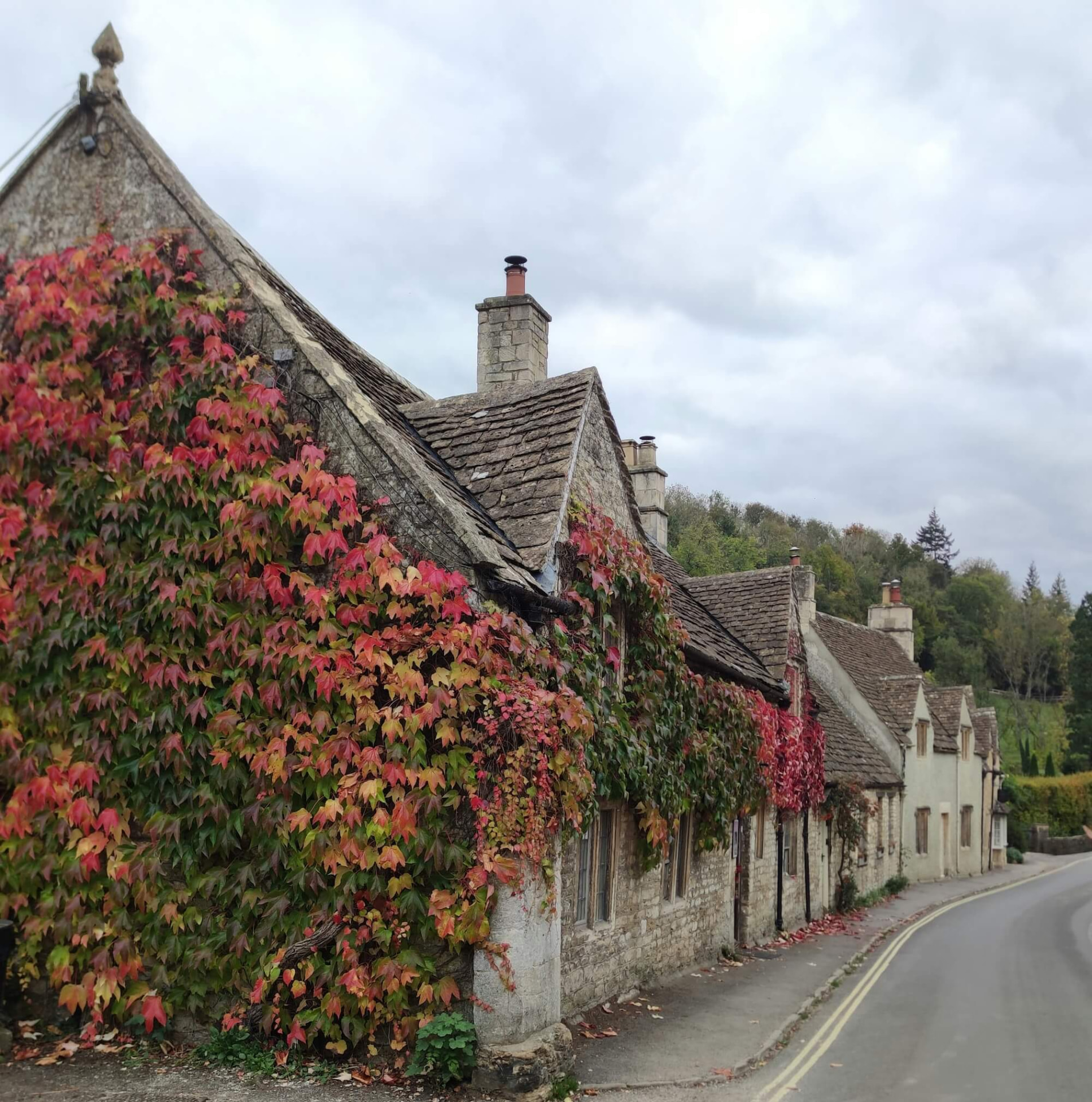 Virginia creeper turning red on a historic Castle Combe cottage