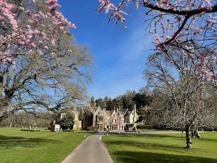 The Manor House Hotel grounds with cherry blossom trees